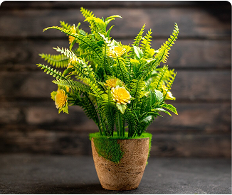 outdoor plants image