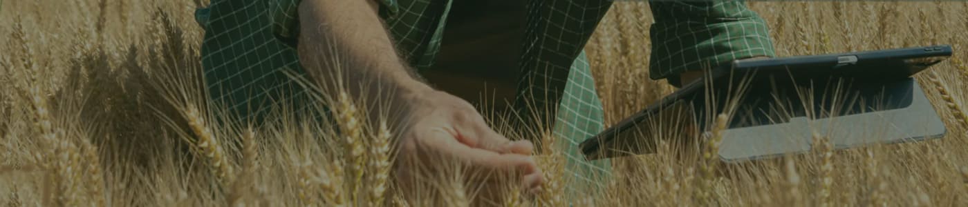 blog section cover image