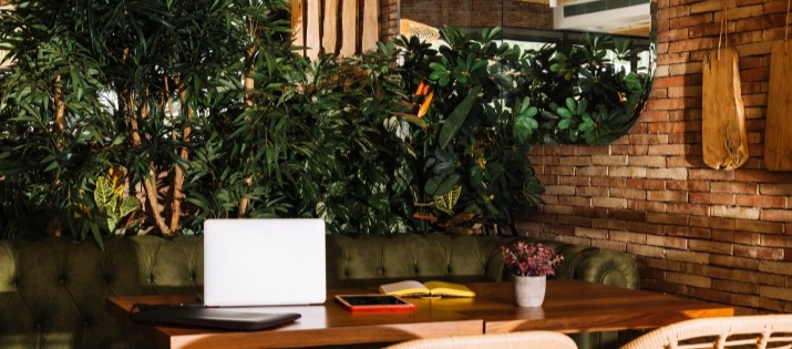 Winter wellness in your garden: Creating a cozy, productive outdoor space this June and July in Johannesburg.